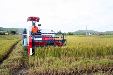 Cơ giới hóa góp phần tăng năng suất lao động trong sản xuất nông nghiệp - ảnh 1